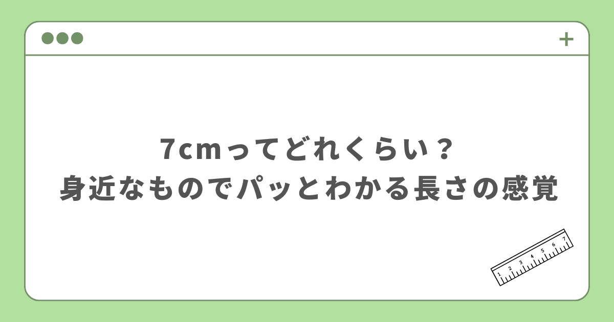 7cmどれくらい